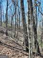 LOT 7 Quail Run Ridge - Photo 11