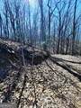 LOT 7 Quail Run Ridge - Photo 12