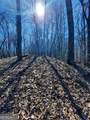 LOT 7 Quail Run Ridge - Photo 13