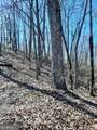 LOT 7 Quail Run Ridge - Photo 34