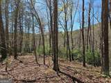 5.20 Deer Crest Road - Photo 2