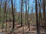 5.20 Deer Crest Road - Photo 33
