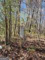 5.20 Deer Crest Road - Photo 39