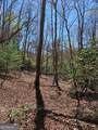 5.20 Deer Crest Road - Photo 5