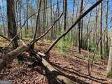 5.20 Deer Crest Road - Photo 50