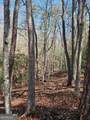 5.20 Deer Crest Road - Photo 51