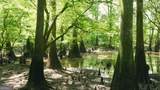 0 East River Road - Photo 14