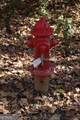 504 Jenkins Road - Photo 12