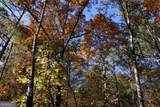 504 Jenkins Road - Photo 4