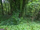 0 Dodson Drive - Photo 10
