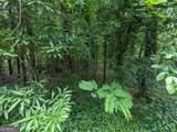0 Dodson Drive - Photo 11