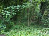 0 Dodson Drive - Photo 9