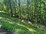 LOT 90 Rocky Knob - Photo 5
