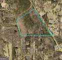 0 Highway 155 Tract 3 - Photo 2
