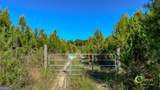 0 Marvis Chapman Road - Photo 1