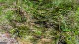 0 Possum Hollow Road - Photo 5