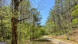 0 Shirley Road Road - Photo 5