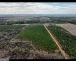 0 Oscar Beacham Road - Photo 1