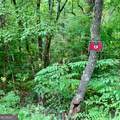 LOT 9 Wildflower Ridge - Photo 3