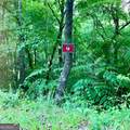 LOT 9 Wildflower Ridge - Photo 5