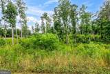 LOT 128 Twisted Oak Road - Photo 22