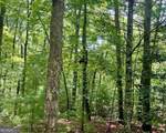 0 Hillbilly Holler - Photo 3