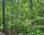 0 Hillbilly Holler - Photo 7
