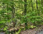0 Hillbilly Holler - Photo 8