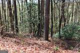 0 Chestatee Drive - Photo 6