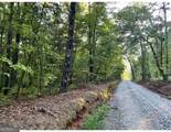 1113 Camp Yonah Road - Photo 9