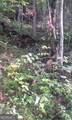 0 Coopers Creek Road - Photo 2
