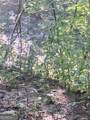 0 Coopers Creek Road - Photo 3