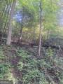 0 Coopers Creek Road - Photo 5