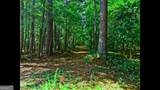 0 Huckaby Road - Photo 14