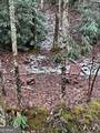 0 Bald Mountain Road - Photo 3