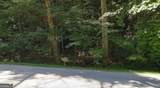 0 Bald Mountain Road - Photo 4