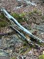 0 Bald Mountain Road - Photo 6