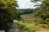 9975 Ball Ground Highway - Photo 136
