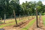 9975 Ball Ground Highway - Photo 26