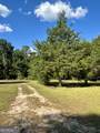 0 Lower River Road - Photo 5