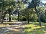 0 Lower River Road - Photo 6