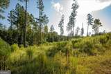 LOT 131 River Reach Lane - Photo 10
