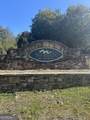 LOT 22 Shake Hollow Drive - Photo 2