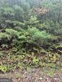LOT 22 Shake Hollow Drive - Photo 3