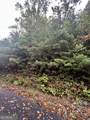 LOT 22 Shake Hollow Drive - Photo 4