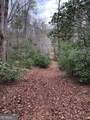 0 Wolf Howl Trail - Photo 15