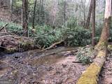 0 Wolf Howl Trail - Photo 8