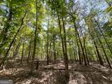 0 Webb Creek Road - Photo 12