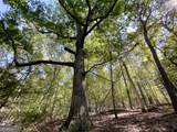 0 Webb Creek Road - Photo 17