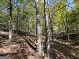 0 Webb Creek Road - Photo 5